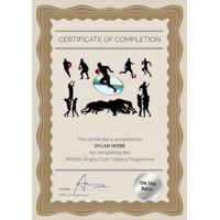 Certificate A4 Paper with Foil Seals Bronze Pack of 30