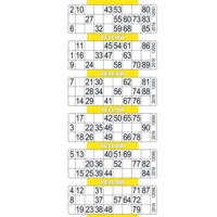 Bingo 600 Tickets 6 to View Flyer Pad