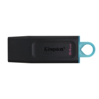 Kingston DataTraveler 64Gb USB Flash Drive    DTX/64GB