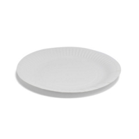 White 9" Paper Plates Pack of 100