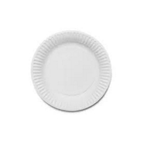White 9" Paper Plates Pack of 100