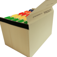 31 Pocket Numbered Mylar Coloured Tabs Expanding File