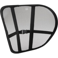 Ergonomic Mesh Back Support