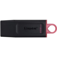 Kingston DataTraveler 256Gb USB Flash Drive     DTX/256GB