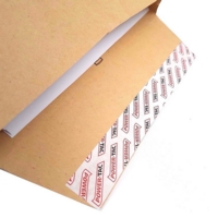 New Guardian C4 1" Gusset Window Envelopes Box of 100