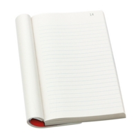 Ruled Duplicate 216mm x 130mm Book SINGLE