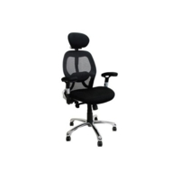 High Back Mesh Task Chair with Headrest & Height AdjArms