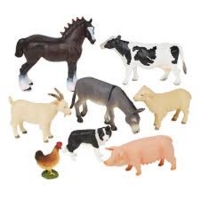 Animals & Environments