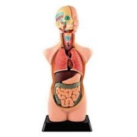 Biology