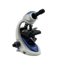 Microscopes & Accessories