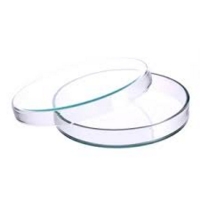 Petri Dishes