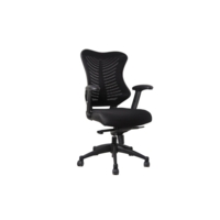 Executive Mesh Task Chair with Height Adjustable Arms