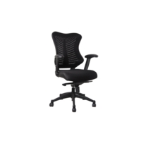 Executive Mesh Task Chair with Height Adjustable Arms Executive Mesh Task Chair with Height Adjustable Arms